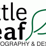 Little Leaf